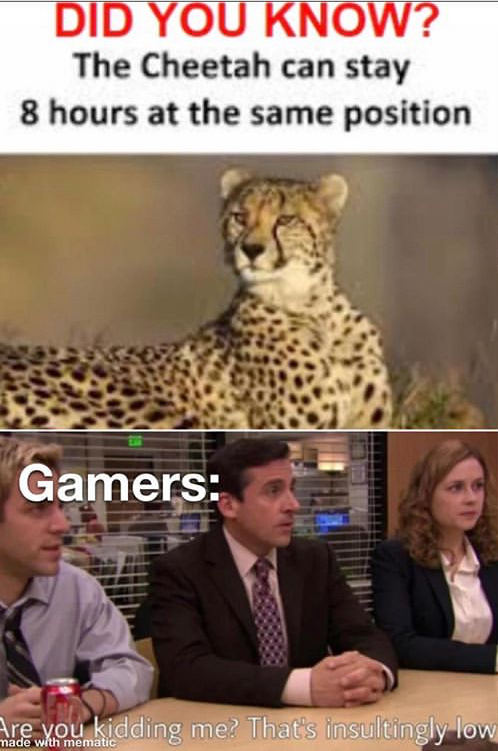 you kidding me that's insultingly low - Did You Know? The Cheetah can stay 8 hours at the same position Gamers Are you kidding me? That's insultingly low made with mematic