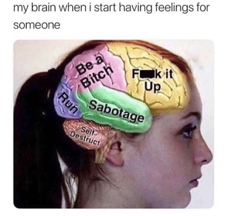 my brain when i start having feelings - my brain when i start having feelings for someone Be a Bitch Fuk it Up Run Sabotage Self Destruct