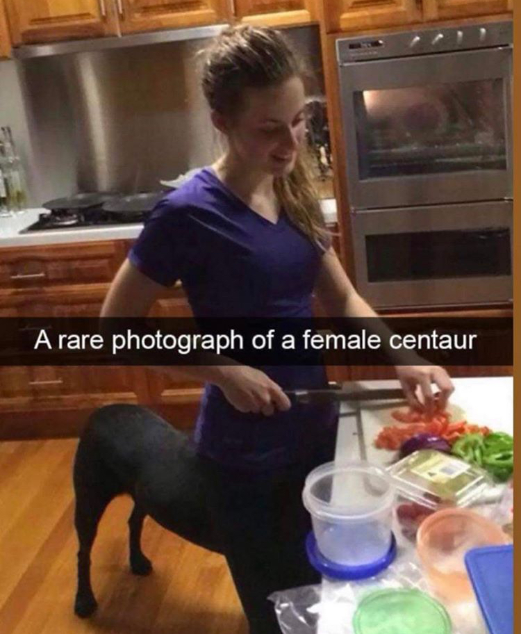taken at just the right moment - A rare photograph of a female centaur
