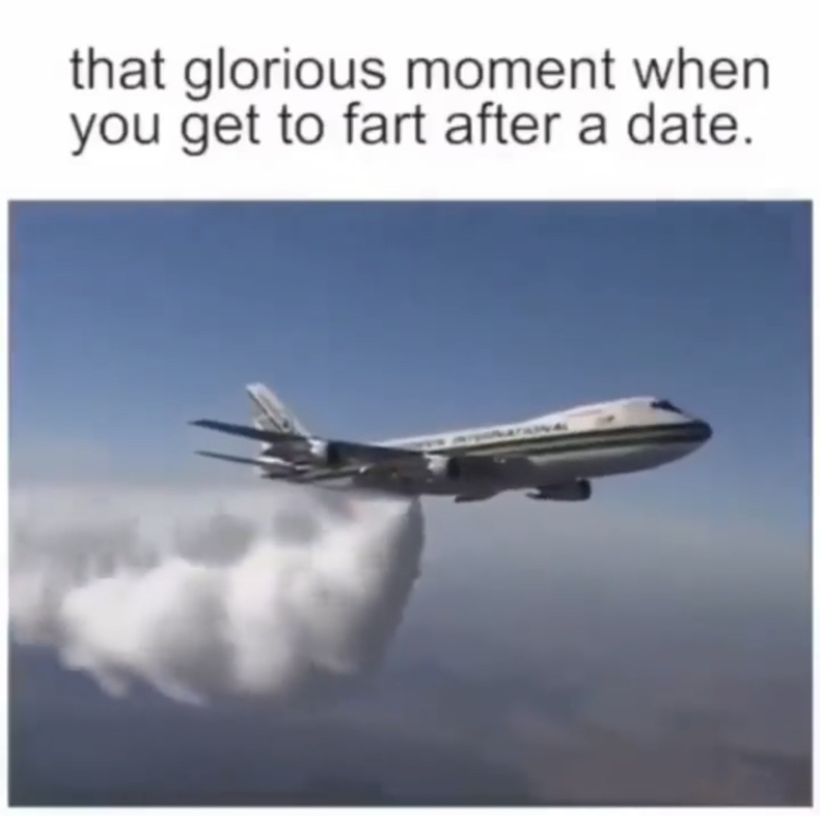 wiz khalifa quotes - that glorious moment when you get to fart after a date.