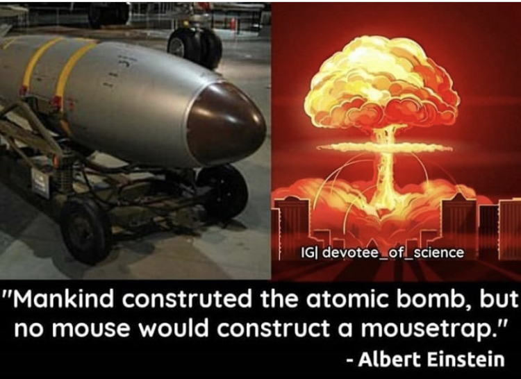 bloomberg tv - Ig| devotee_of_science "Mankind construted the atomic bomb, but no mouse would construct a mousetrap." Albert Einstein