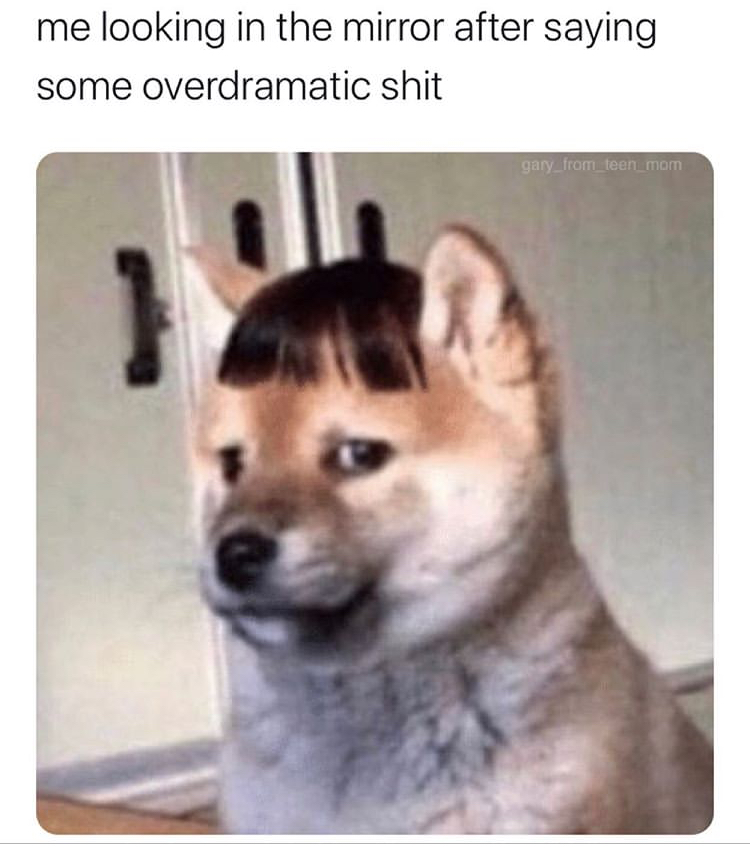 bangs meme dog - me looking in the mirror after saying some overdramatic shit gary_from_teen mom