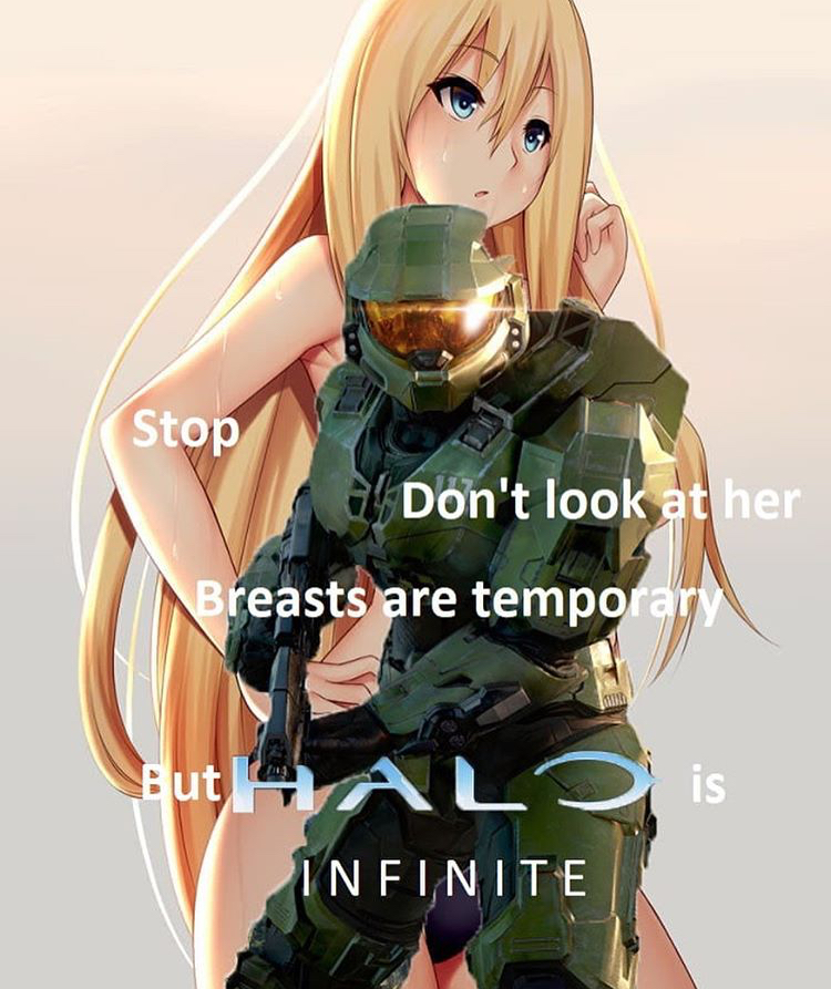 figurine - Stop Don't look at her Breasts are temporary But Halo is Infinite