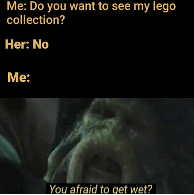 you afraid to get wet meme - Me Do you want to see my lego collection? Her No Me You afraid to get wet?