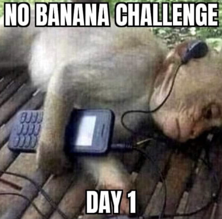 me listening to sad music and overthinking - No Banana Challenge 200 0000 Day 1