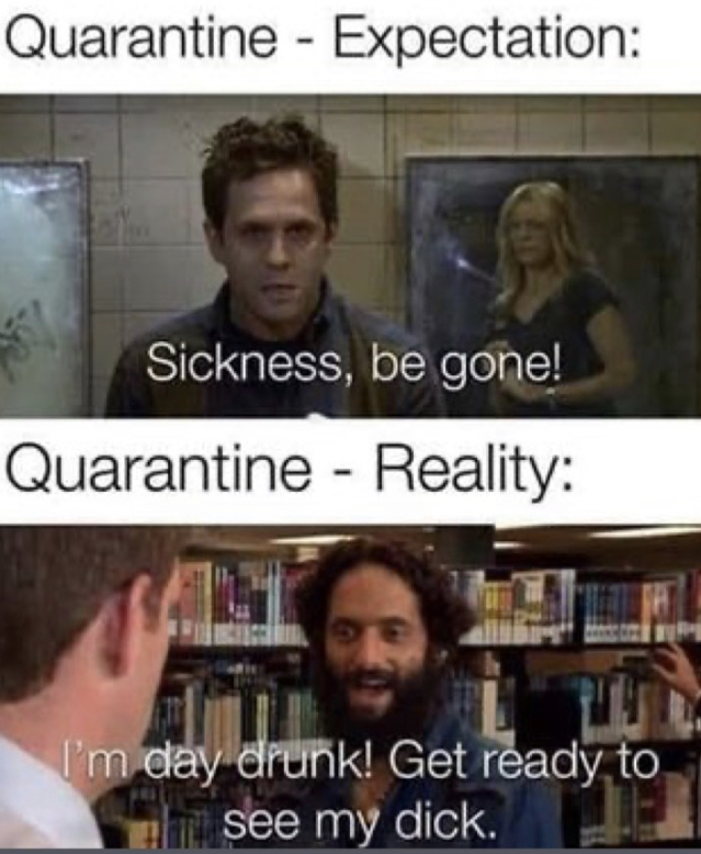 quarantine memes - Quarantine Expectation Sickness, be gone! Quarantine Reality I'm day drunk! Get ready to see my dick.