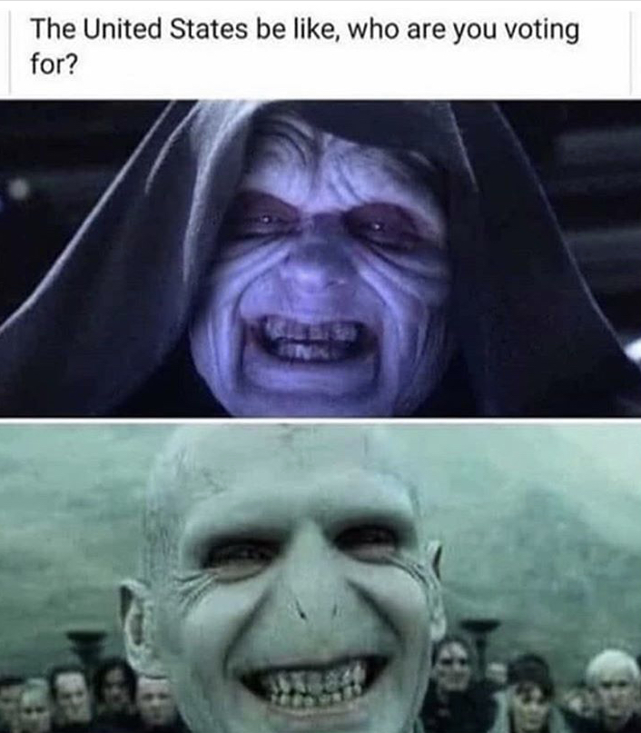 harry potter memes voldemort - The United States be , who are you voting for?