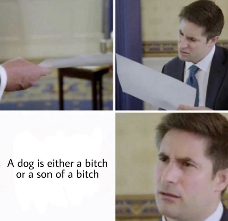 trump interview meme template - A dog is either a bitch or a son of a bitch