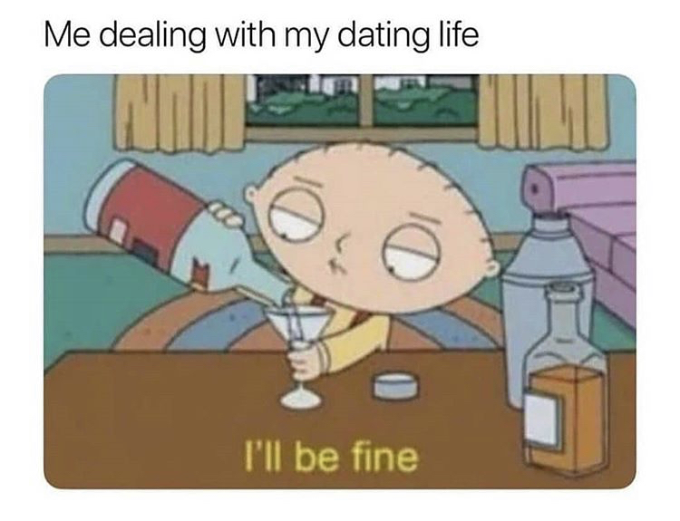 stewie griffin party - Me dealing with my dating life I'll be fine