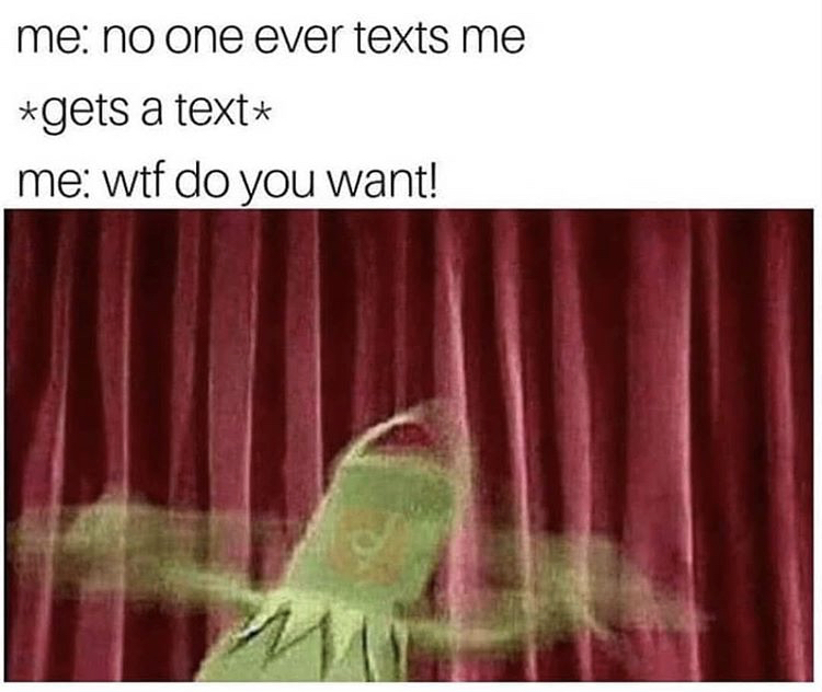 excited kermit - me no one ever texts me gets a text me wtf do you want!