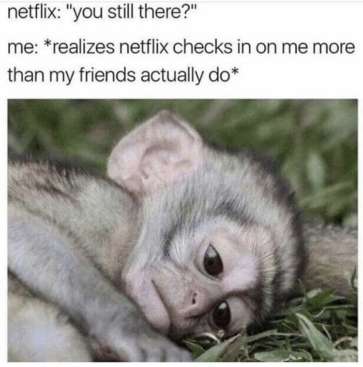 netflix meme are you still there - netflix "you still there?" me realizes netflix checks in on me more than my friends actually do
