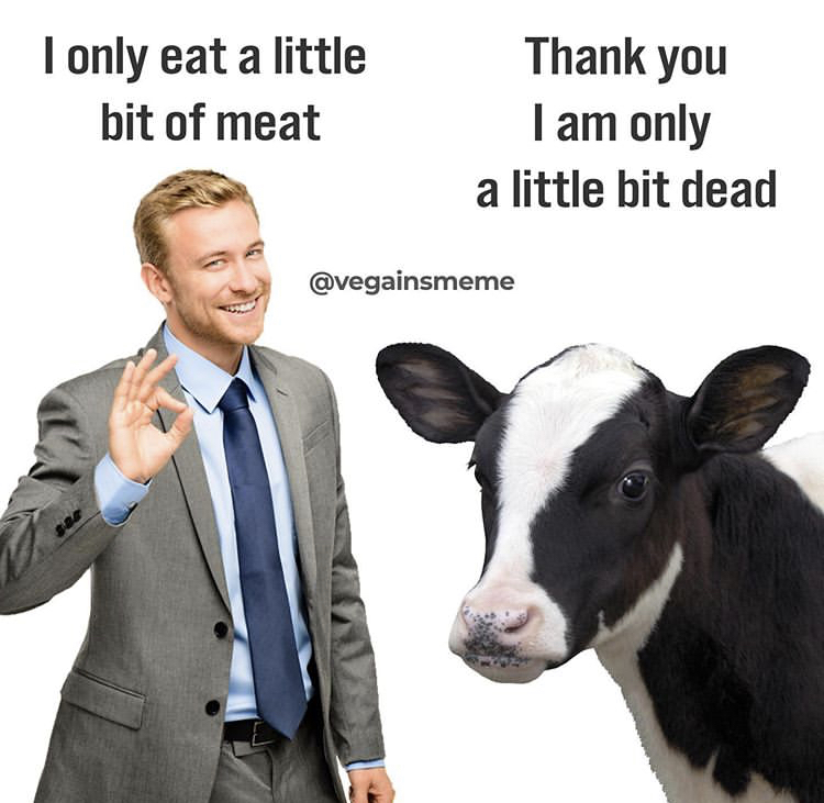 business man stock - I only eat a little bit of meat Thank you I am only a little bit dead