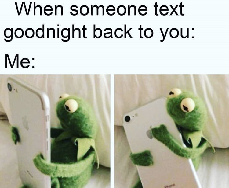 sad kermit phone meme - When someone text goodnight back to you Me