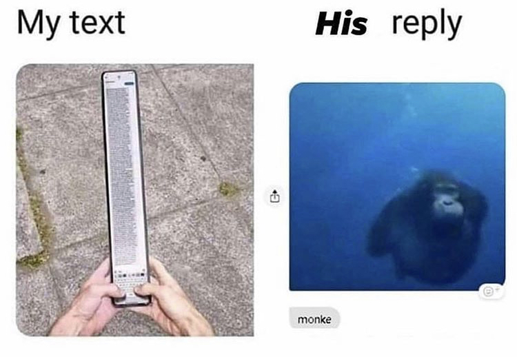 text box - My text His monke