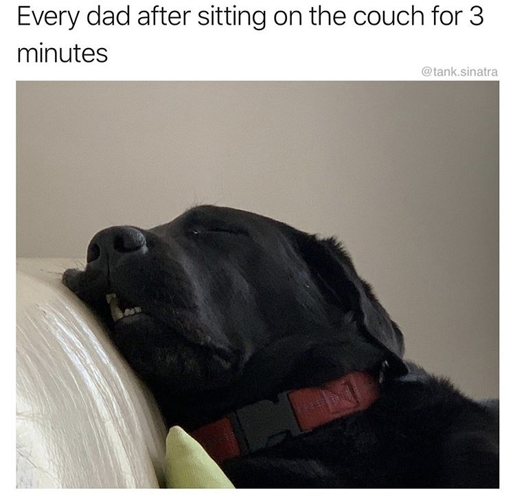 photo caption - Every dad after sitting on the couch for 3 minutes .sinatra 1