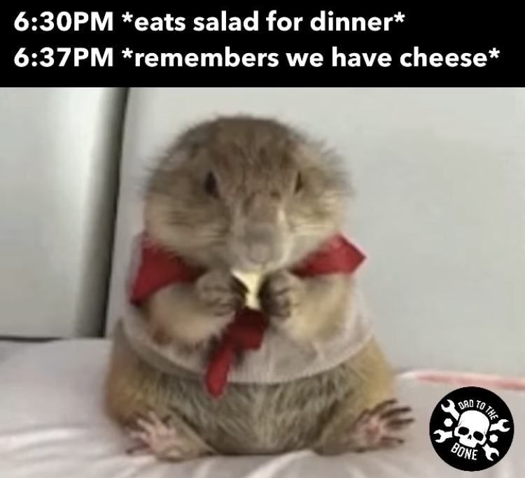 Bad To The Pm eats salad for dinner Pm remembers we have cheese Bone