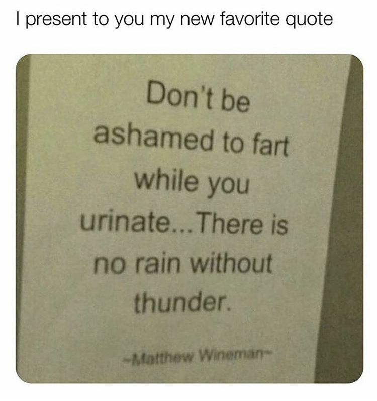 I present to you my new favorite quote Don't be ashamed to fart while you urinate... There is no rain without thunder Matthew Wineman