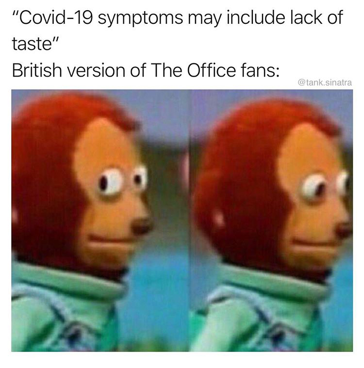 new memes 2020 - "Covid19 symptoms may include lack of taste" British version of The Office fans .sinatra