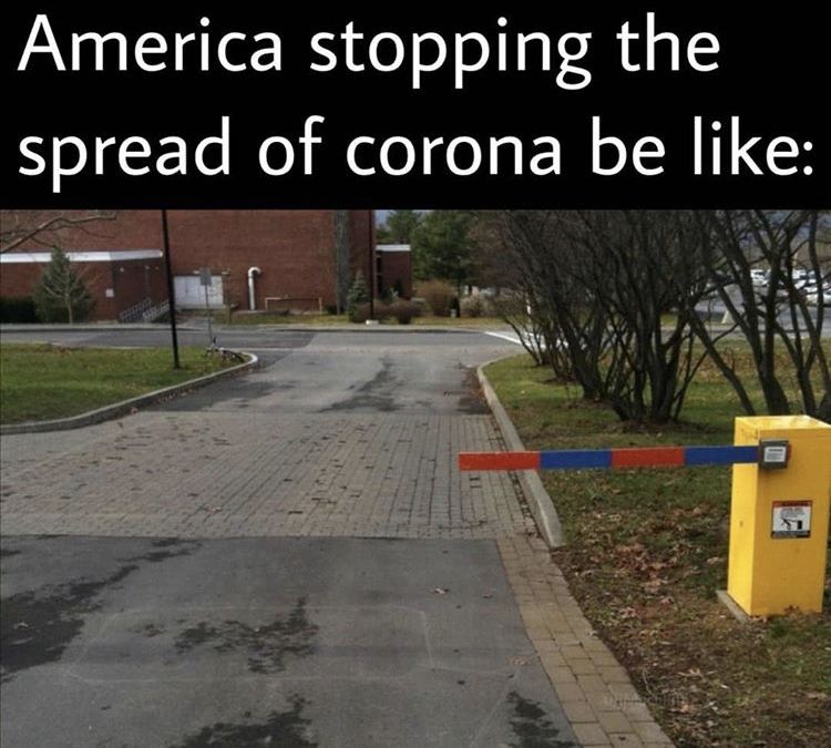 you had one job - America stopping the spread of corona be