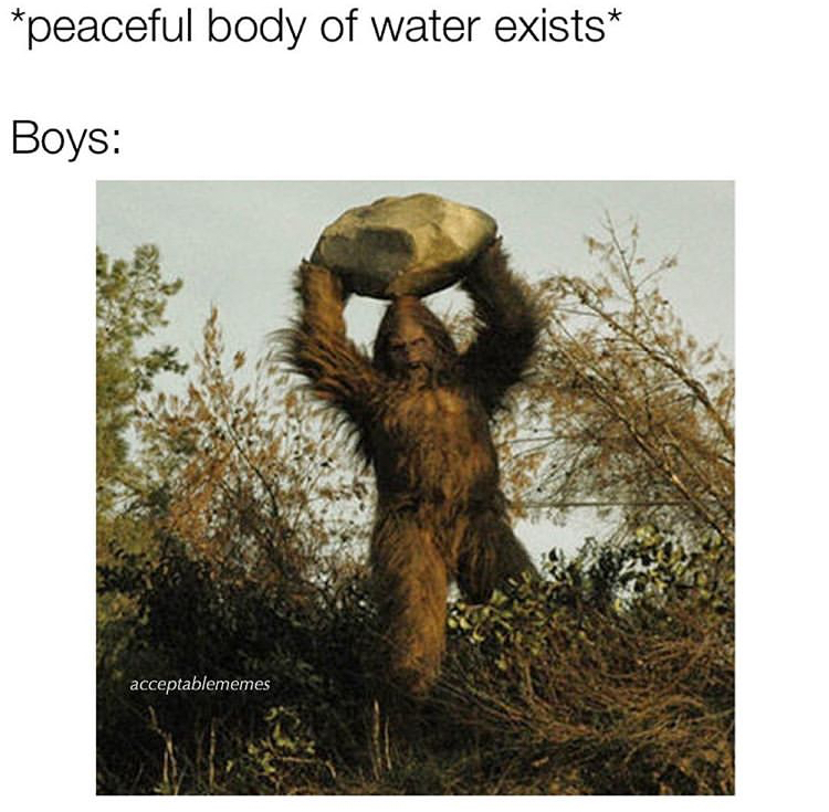 most convincing bigfoot - peaceful body of water exists Boys acceptablememes