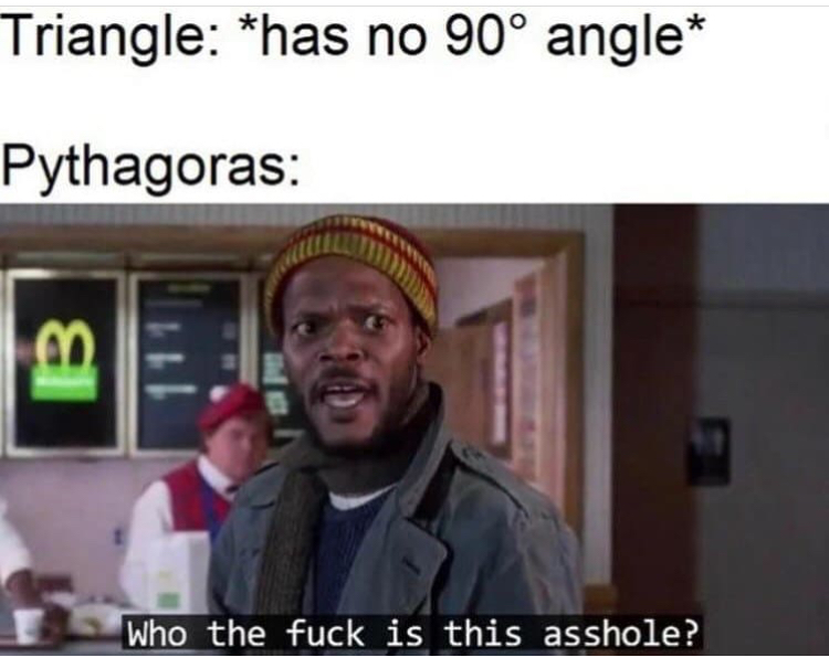 you hear your own voice meme - Triangle has no 90 angle Pythagoras B Who the fuck is this asshole?