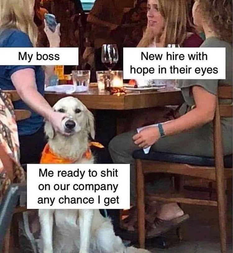 dog mouth shut meme tempalte - My boss New hire with hope in their eyes Me ready to shit on our company any chance I get