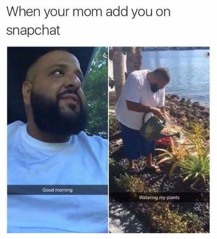 relationship goals meme - When your mom add you on snapchat Good morning Watering my plants