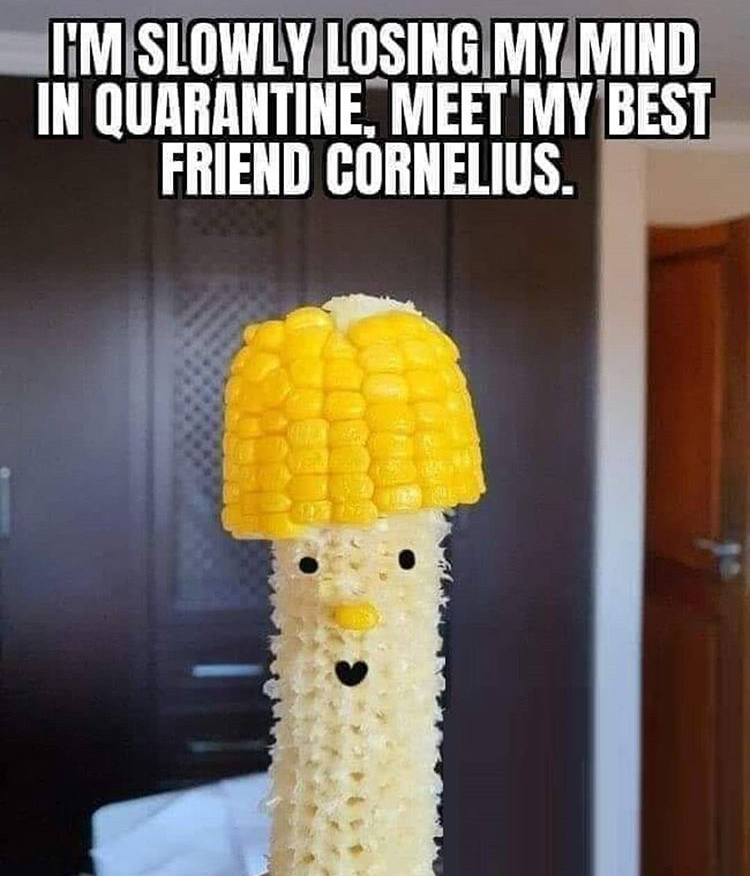corn on the cob - I'M Slowly Losing My Mind In Quarantine, Meet My Best Friend Cornelius.