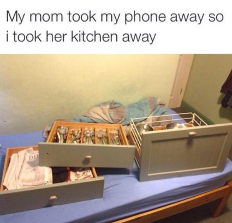 my mom took my phone away so - My mom took my phone away so i took her kitchen away Ds
