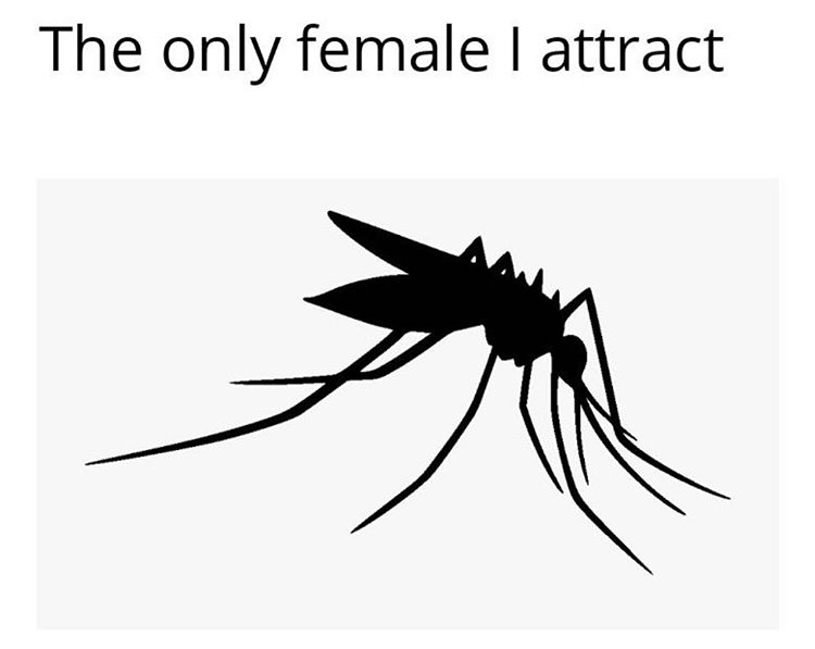 mosquito silhouette - The only female I attract