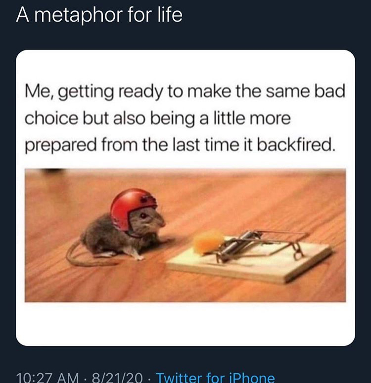funny relatable memes funny anime meme anime - A metaphor for life Me, getting ready to make the same bad choice but also being a little more prepared from the last time it backfired. 82120 Twitter for iPhone