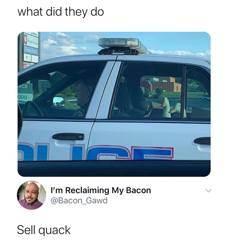 vehicle door - what did they do Llas Rce Nesia Doo I'm Reclaiming My Bacon Sell quack
