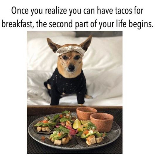 psac - Once you realize you can have tacos for breakfast, the second part of your life begins.