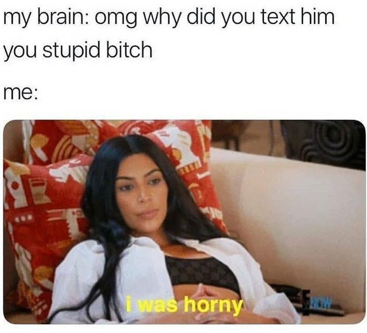 didn t ask to be here meme - my brain omg why did you text him you stupid bitch me i was horny