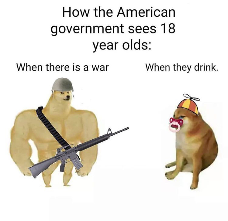 dog meme 2020 - How the American government sees 18 year olds When there is a war When they drink.