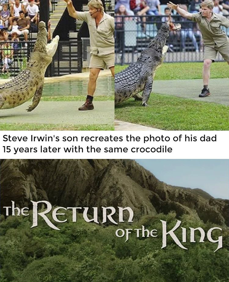 steve irwin and son - Steve Irwin's son recreates the photo of his dad 15 years later with the same crocodile The Return of the King