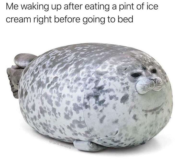 seal pillow - Me waking up after eating a pint of ice cream right before going to bed Wlank Sinatra