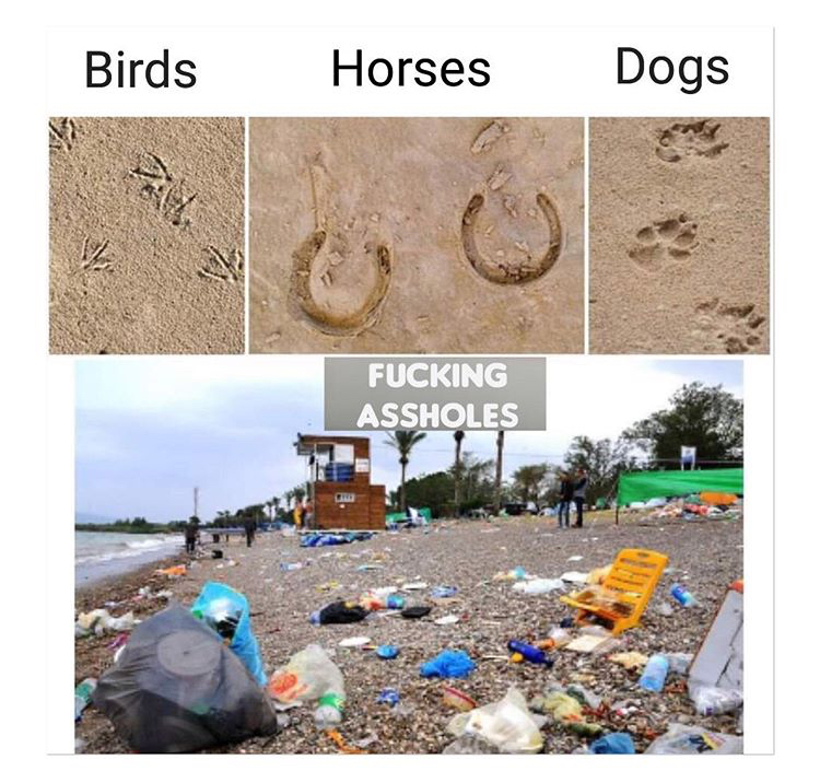 waste - Birds Horses Dogs Tal Fucking Assholes