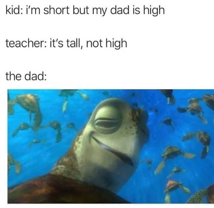 finding nemo sea turtle meme - kid i'm short but my dad is high teacher it's tall, not high the dad