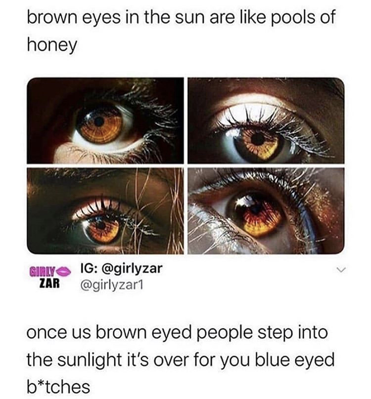 brown eyes meme - brown eyes in the sun are pools of honey Girly Ig Zar once us brown eyed people step into the sunlight it's over for you blue eyed btches