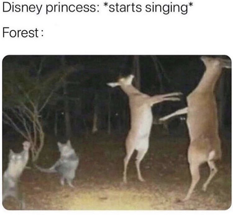 disney princess starts singing forest mfs - Disney princess starts singing Forest