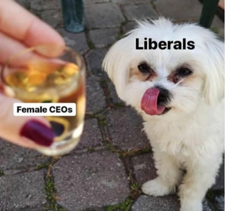 dog - Liberals Female CEOs