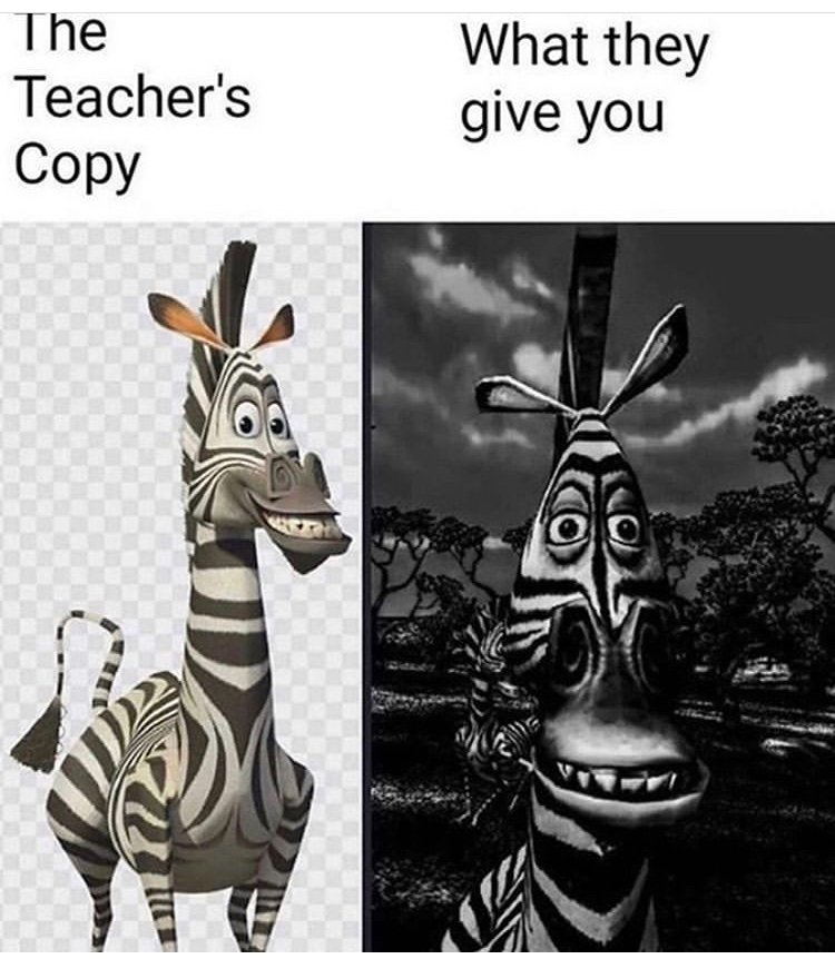 marty madagascar - The Teacher's Copy What they give you