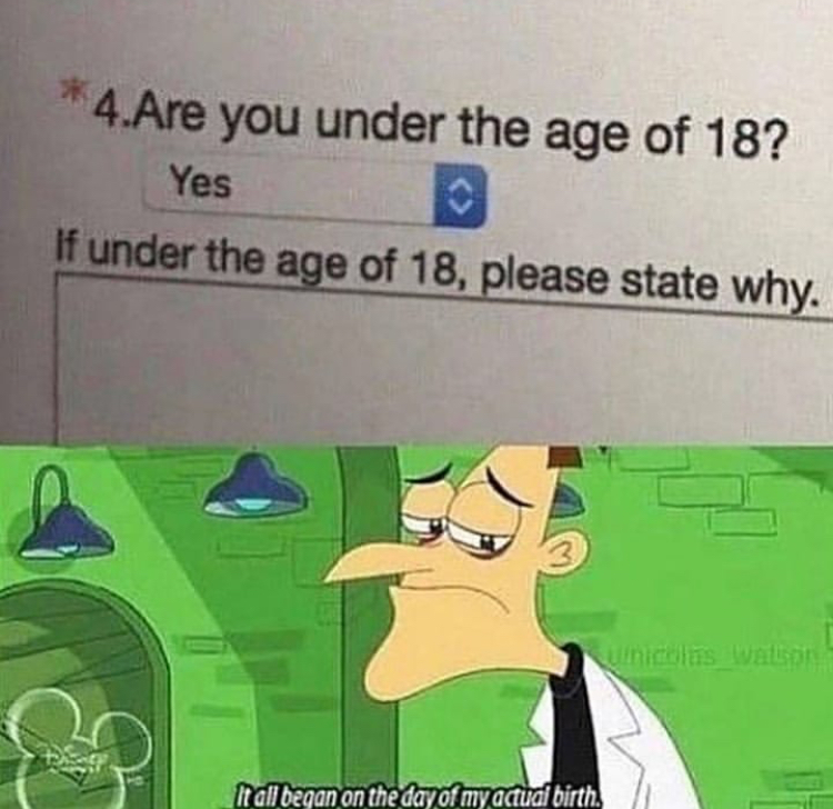 all began on the day of my actual birth meme - 4.Are you under the age of 18? Yes If under the age of 18, please state why. It all began on the day of my actual birth.