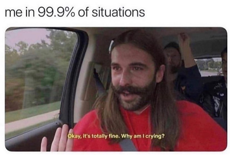 rebecca chamber memes - me in 99.9% of situations Okay, it's totally fine. Why am I crying?