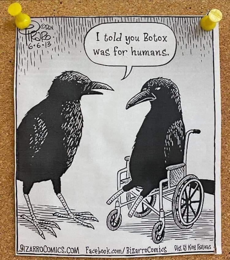 crows feet humor