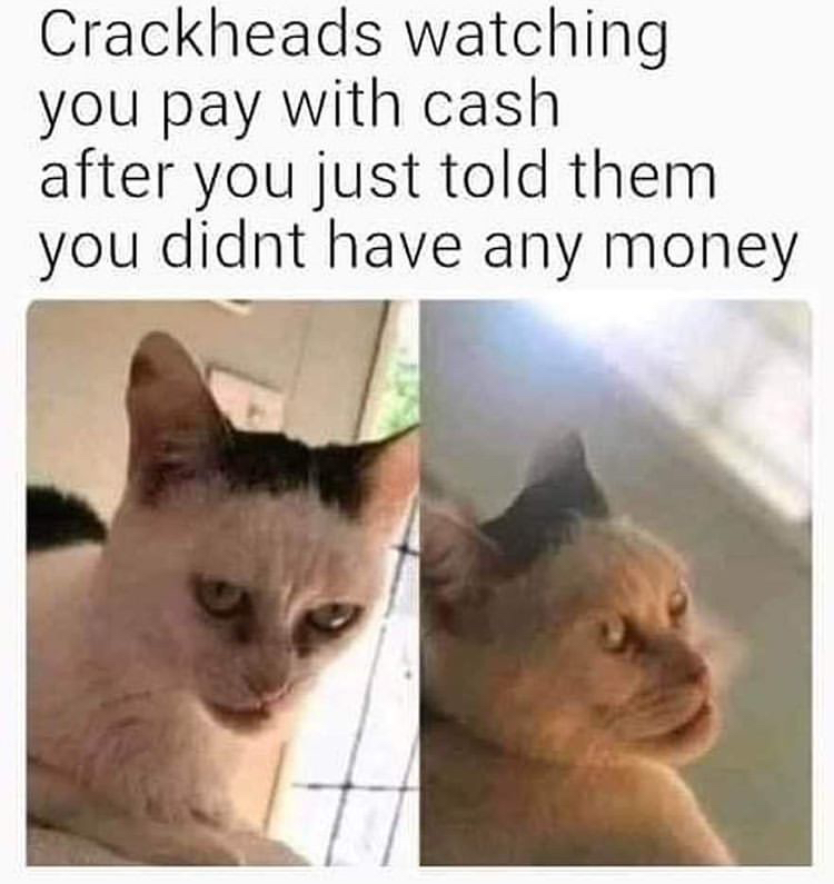 mr snowflake cat - Crackheads watching you pay with cash after you just told them you didnt have any money