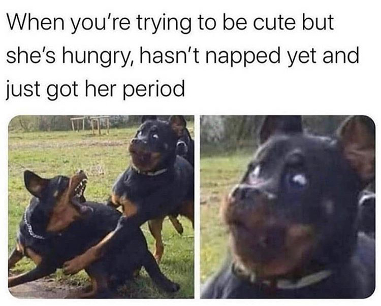 quarantine stuck meme - When you're trying to be cute but she's hungry, hasn't napped yet and just got her period