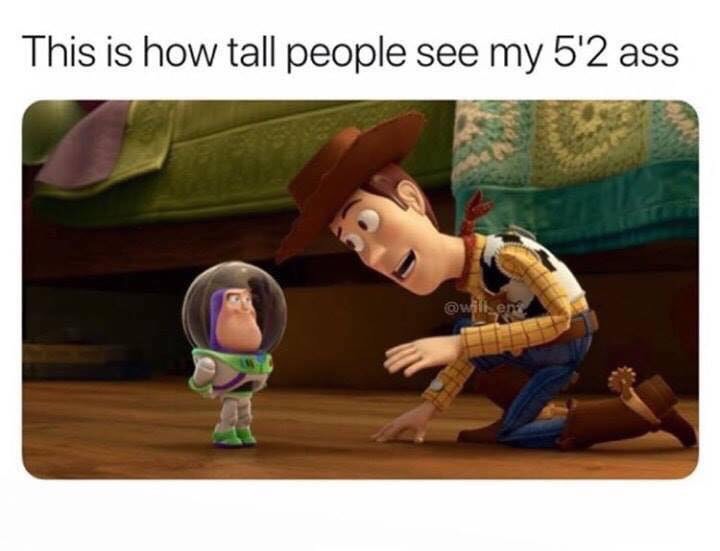woody and buzz memes - This is how tall people see my 5'2 ass