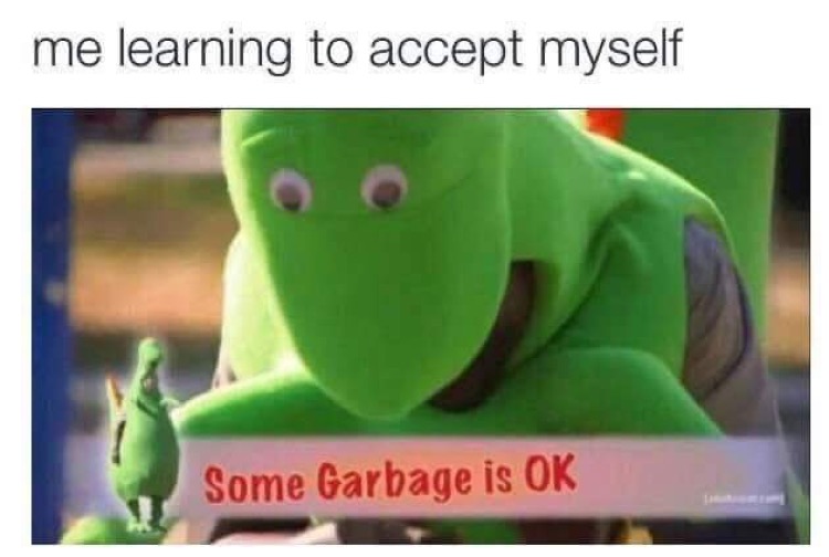 some garbage is ok - me learning to accept myself Some Garbage is Ok